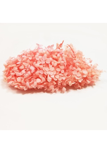 Kurutulmuş Çiçek - Pudra Pembesi