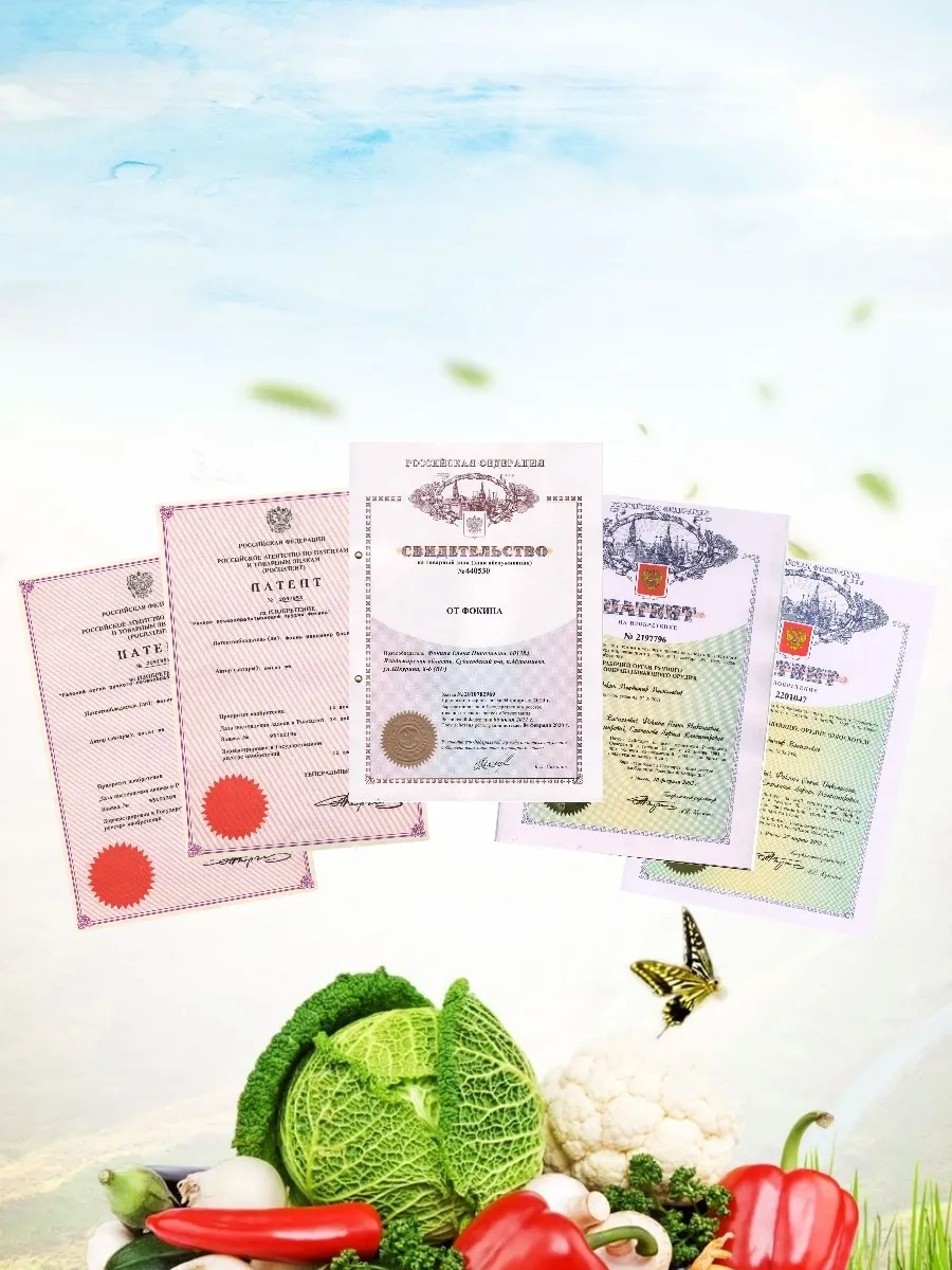 Ot Fokina Düz Kesme Bıçakları Büyük + Küçük 322151760