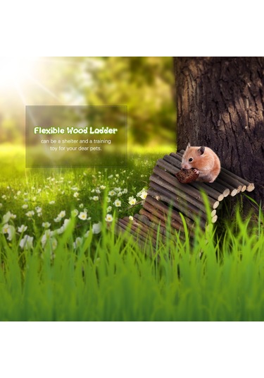 Xindoker Evcil Hayvanlar İçin Doğal Ahşap Saklanma Evi, Sürüngen Ve Kemirgenler İçin Orta Boy Dinlenme Alanı