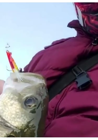 Sardin2 29gr - Sahte Yem Kaşık Rapala - Levrek, Palamut, Lüfer, Ç