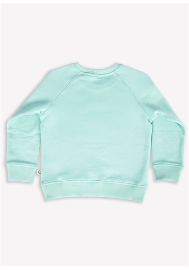 Organik Erkek Çocuk Sweat - Mint Mint Yeşili