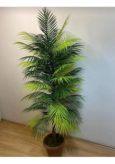 Rüzgar Yapay Çiçekçilik 150 Cm Palmiye Ağacı Yeşil