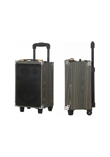 Hepu Hp-904 Partybox Bluetooth Hoparlör 12 Woofer 40w Güç 1 Kablosuz Mikrofon Kumanda