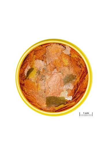 Jbl Pro Novo Tanganyika Flakes M 950 Gr / 5,5 L