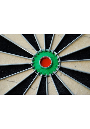 Winmau Pro Sfb Dart Hedef Tahtası