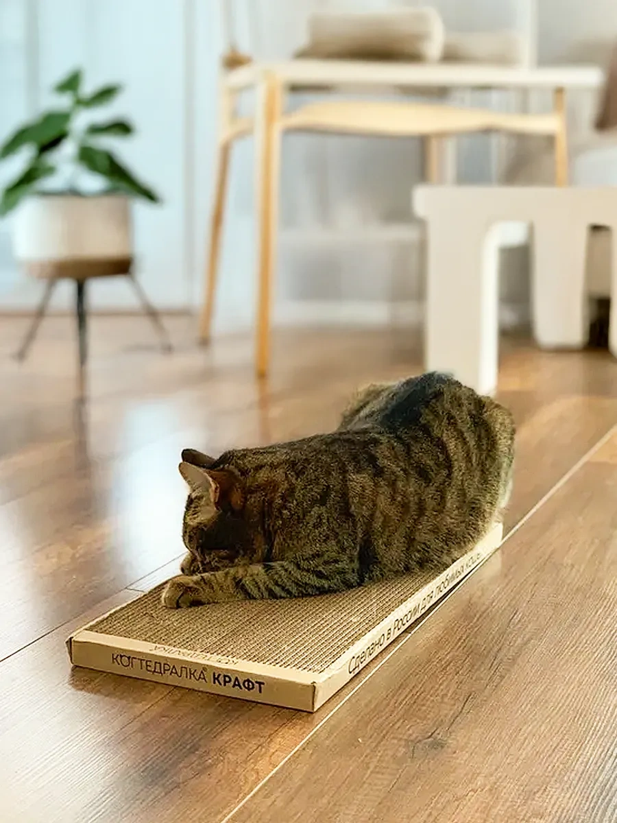 Kogtedralka Tekerleme Etkli Karton Kedi Tırmalama Tahtası, Yer Tipi Tırmalama Tahtası 23790688