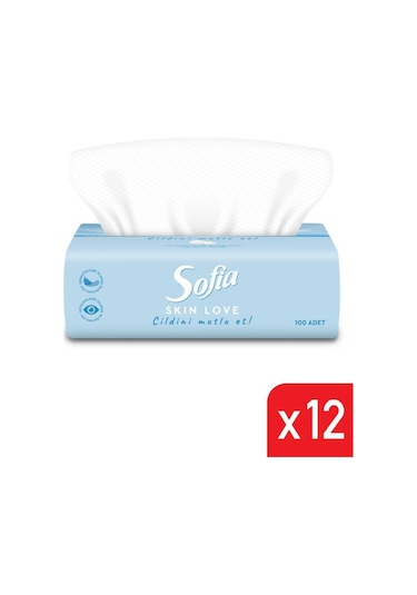 Sofia Skin Love Mendil 100'lü 12 Paket