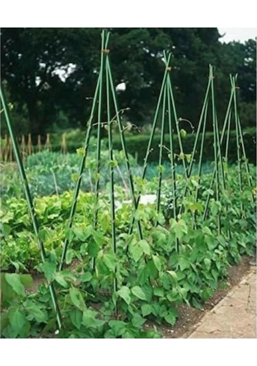 Gardener 153702 Bitki Destek Çubuğu 8 Mm X 60 Cm 10 Adet