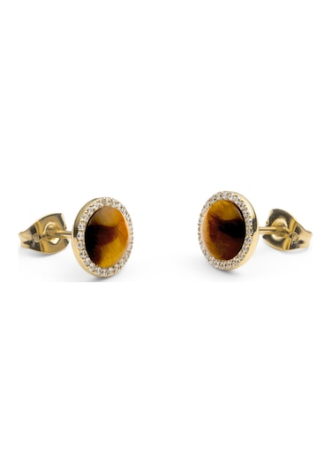 Audrey Earrings Tiger Eye Gold Gold