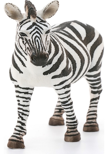 Schleich Dişi Zebra   14810