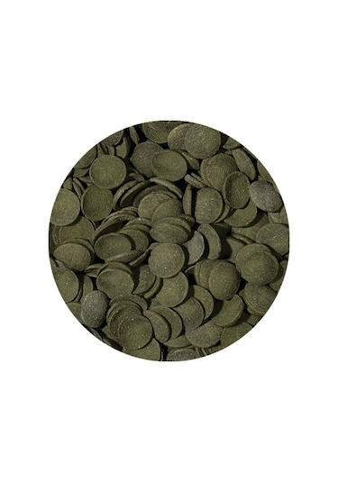 Tropical Green Algea Wafers Kovadan Bölme 500 Gr