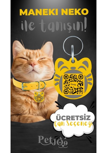 Petjoo 4.Maneki Neko Gri-Sarı Qr'lı Kedi Künyesi