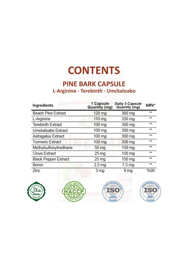 Gökçek Şifa Sahil Çamı (Pine Bark Capsule) 60 Kapsül