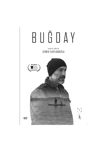 Buğday - DVD