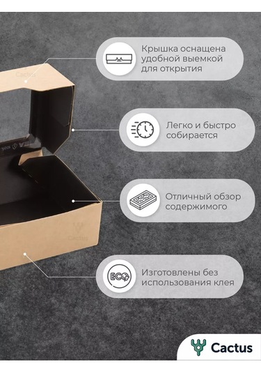 Cactus Pencereli Kraft Kutu 215129698 100 adet