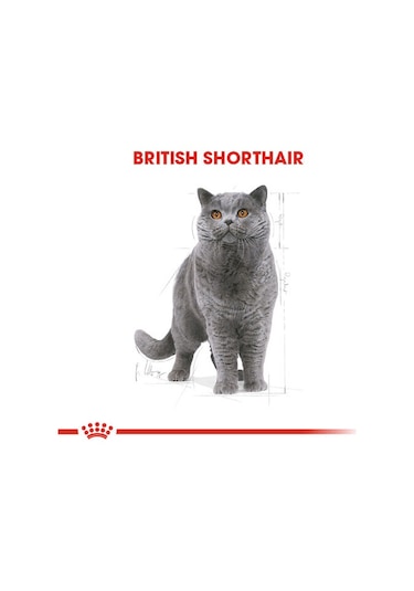 Royal Canin British Shorthair Yetişkin Kedi Maması 2 KG