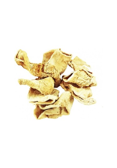 Gurmepark Kuru Dolmalık Kabak 50 Adet