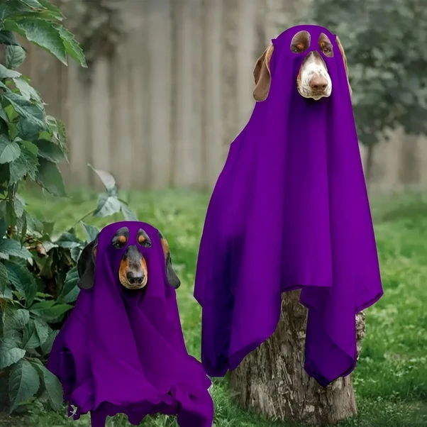 Elmpaly Siyah Tek Boy Korkunç Sevimli Dachshund Köpek Kostümü Başlıklı Pelerin