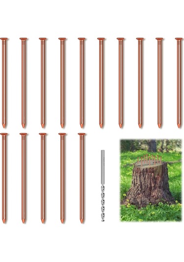 15 Adet Bakır Çivi Ağaç Kütüğü Kökünü Öldürmek İçin, 3.14 İnç