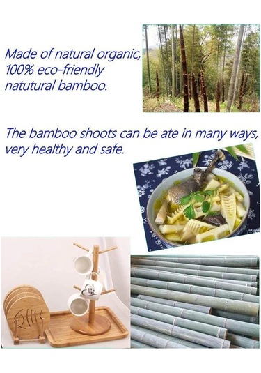 Youmex Bambu Bardak Tutucu, 6 Bardak Kapasitesi, Dürtme Engeli, Organik Malzeme, Mutfak Düzenleyici, Doğal Tarz, Anti Kayma Taban Ahşap