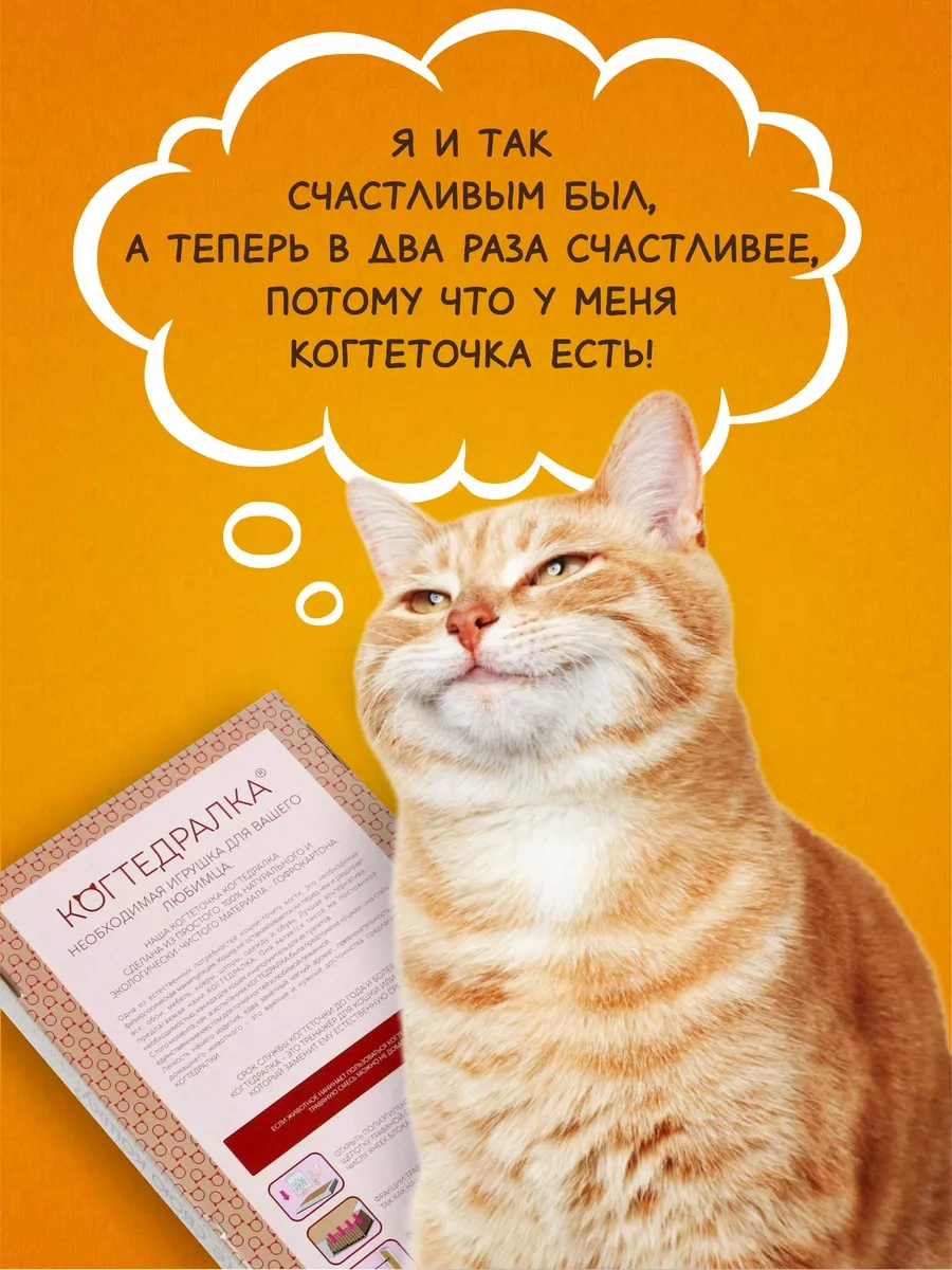 Kogtedralka Kedi Pençeleri İçin Kına Çoraplı Karton Yer Tipi Pençe Törpüsü 23790697