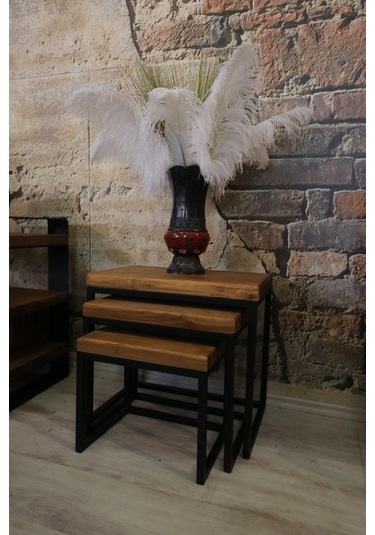 Ntconcept Masif Ağaç Loft Zigon Sehpa