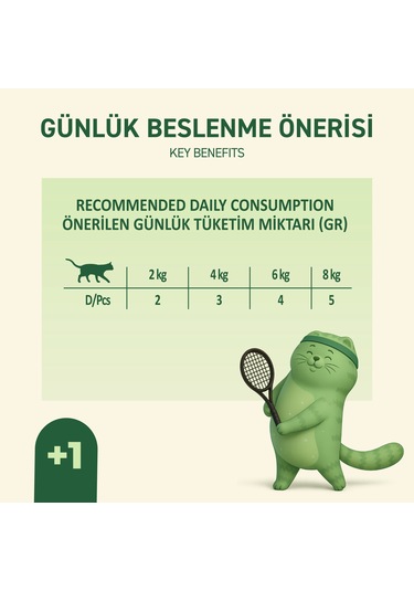 Kuzu Etli Yaş Kedi Maması 85 Gr X 24 Adet Jöle İçinde Parça Etli - Yetişkin Kedi