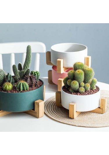 Suofeng Yeşil Ahşap Ayaklı Orta Boy Sukulent Ve Hidroponik Bitki Seramik Saksı
