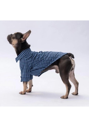 Pawstar Luss Mavi Kedi Ve Küçük Irk Köpek Gömleği