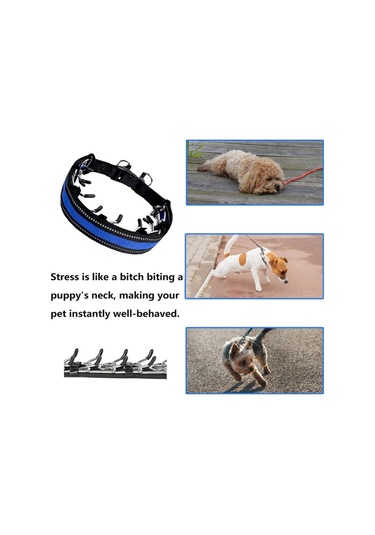 Evcil Hayvan Eğitimi Uyarıcı Zincir Yaka For S Mavi Yeşil For L Yeşil