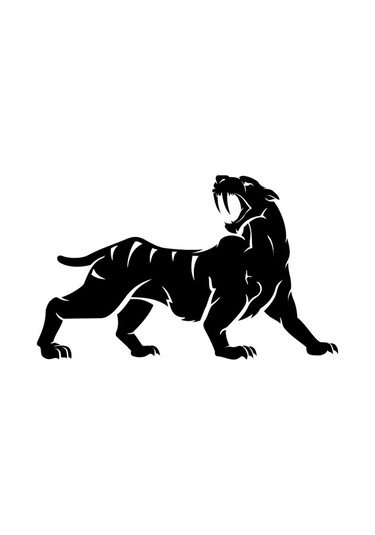 Araba Çıkartmaları, Tampon Koruyucuları Çok Renkli