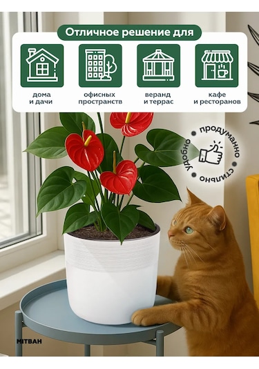 Mıtbah Çiçek Ve Bitki Saksısı 4,5 L 412410400