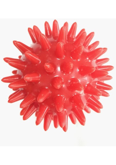 Homyl 3x Masaj Topu Relax Kompakt Yoga Pilates Omuz Sırtı Için Mavi