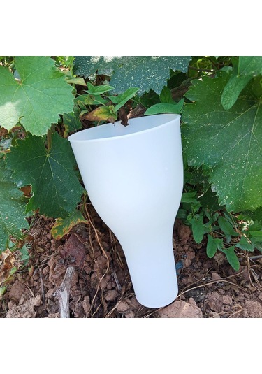 Homyl Üzüm Daldırma Fincanı 8.66x4.72 "aksesuarlar Meyve