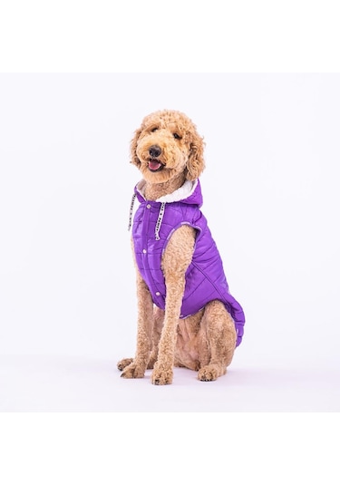 Pawstar Railway Purple Su Geçirmez Orta-büyük Irk Köpek Yelek Yağmurluk