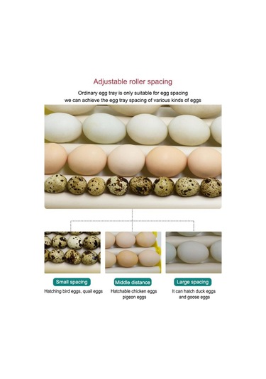 Suntek Otomatik 42/56 Yumurta Civciv Kuş Kuluçka Kuluçka