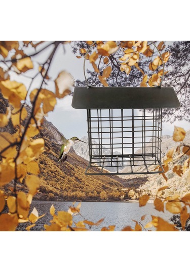 Yunboo Geniş Yemleme Açılıklı, Kuru Yem Saklama Korumalı, Taşınabilir Ve Temizlenebilir Retro Bakır Renkli Dış Mekan Kuş Yemleme Cihazı