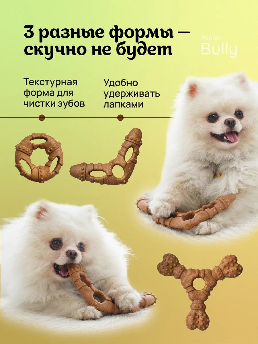 Misterbully Küçük Irk Köpekler Ve Yavru Köpekler İçin Diş Oyuncağı Seti 3'ü 1 Arada 264325071