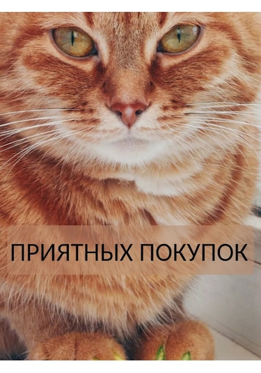 E.lekar' Kedi Tırmık Kesici Tırnak Koruyucuları, Tırnak Koruyucuları 40 Adet S 261040778