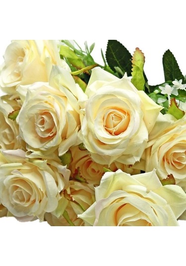 Tüplü Emilia Koyu Krem Yoğun Kokulu Gül Fidanı 3-4 Yaş