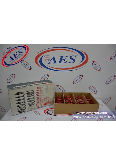 Aes Eibach Pro-Kit Honda Civic 2006 - 2011 Arası Yay