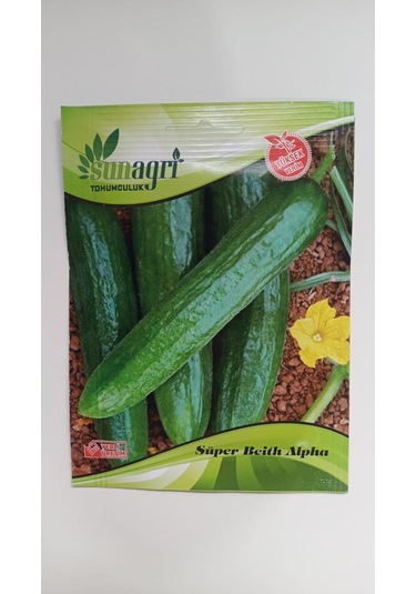 Bykurt Sunagri Beith Alpha Salatalık Tohumu - Yüksek Verimli Lezzetli Açık Tarla İçin Beith Alpha Tohum