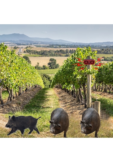 Uzaktan Kumandalı Güneş Enerjili Dış Mekan Hareket Hs6992