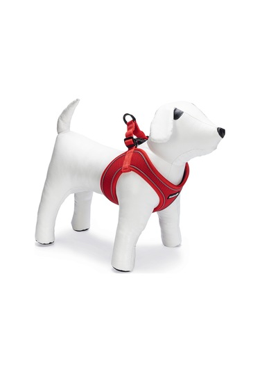 Beeztees Köpek Göğüs Tasması, Neopren, Kırmızı, Xs, 30-35cm Çok Renkli