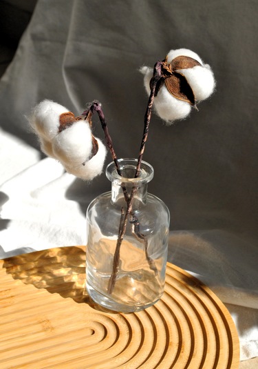 Cam Mini Vazo Şeffaf Dekoratif Minimal Şişe 210 Ml 12 Cm-1 Adet