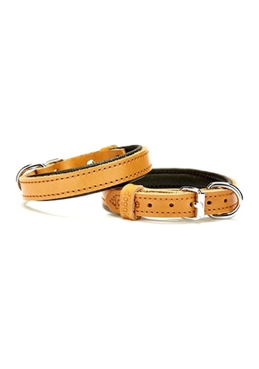 Doggie Konfor Deri Sade Boyun Tasması 2.5x37-45 CM Camel Kahverengi