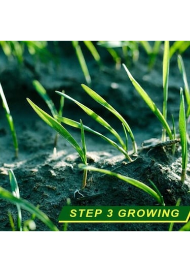 Suntek Biyobozunur Çim Çim Dikim Gübre Kağıt Mat Bahçe