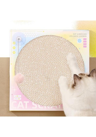 Suntek Kapalı Alandaki Kediler Yavru Kedi Eğitimi Için