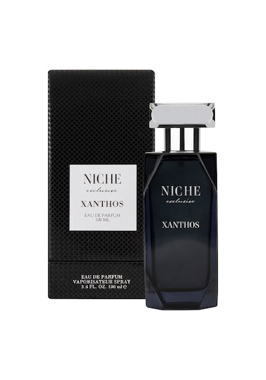 Niche Exclusive Xanthos Erkek Parfüm EDP 100 ML