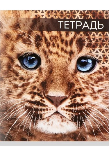 Calligrata Kurbağalar Not Defter 48 Yaprak 453831949